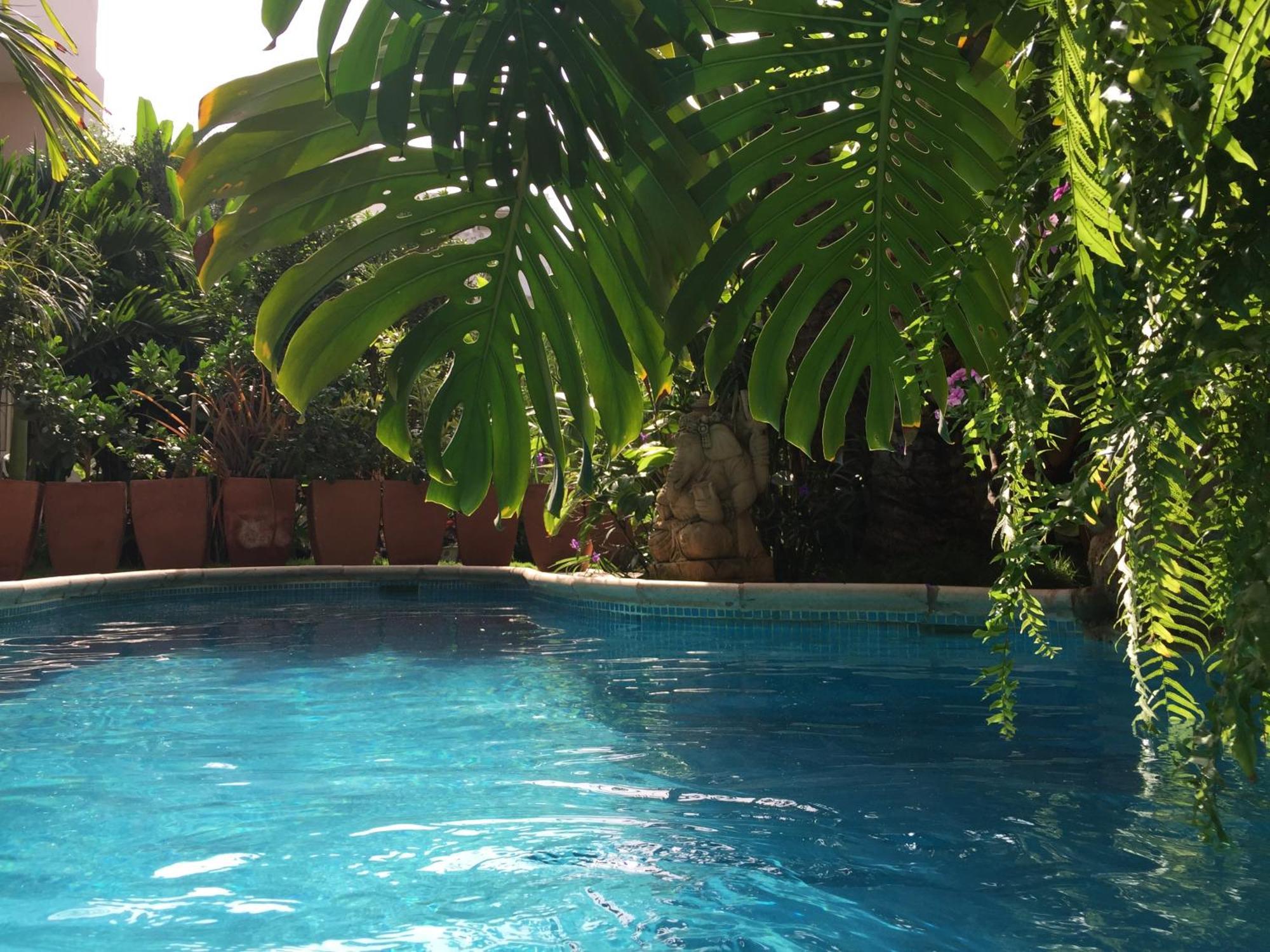 Appartement Tropical Oasis à Ouakam Extérieur photo