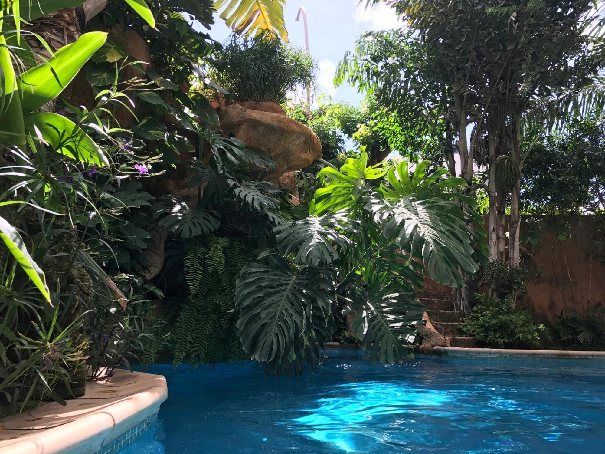 Appartement Tropical Oasis à Ouakam Extérieur photo