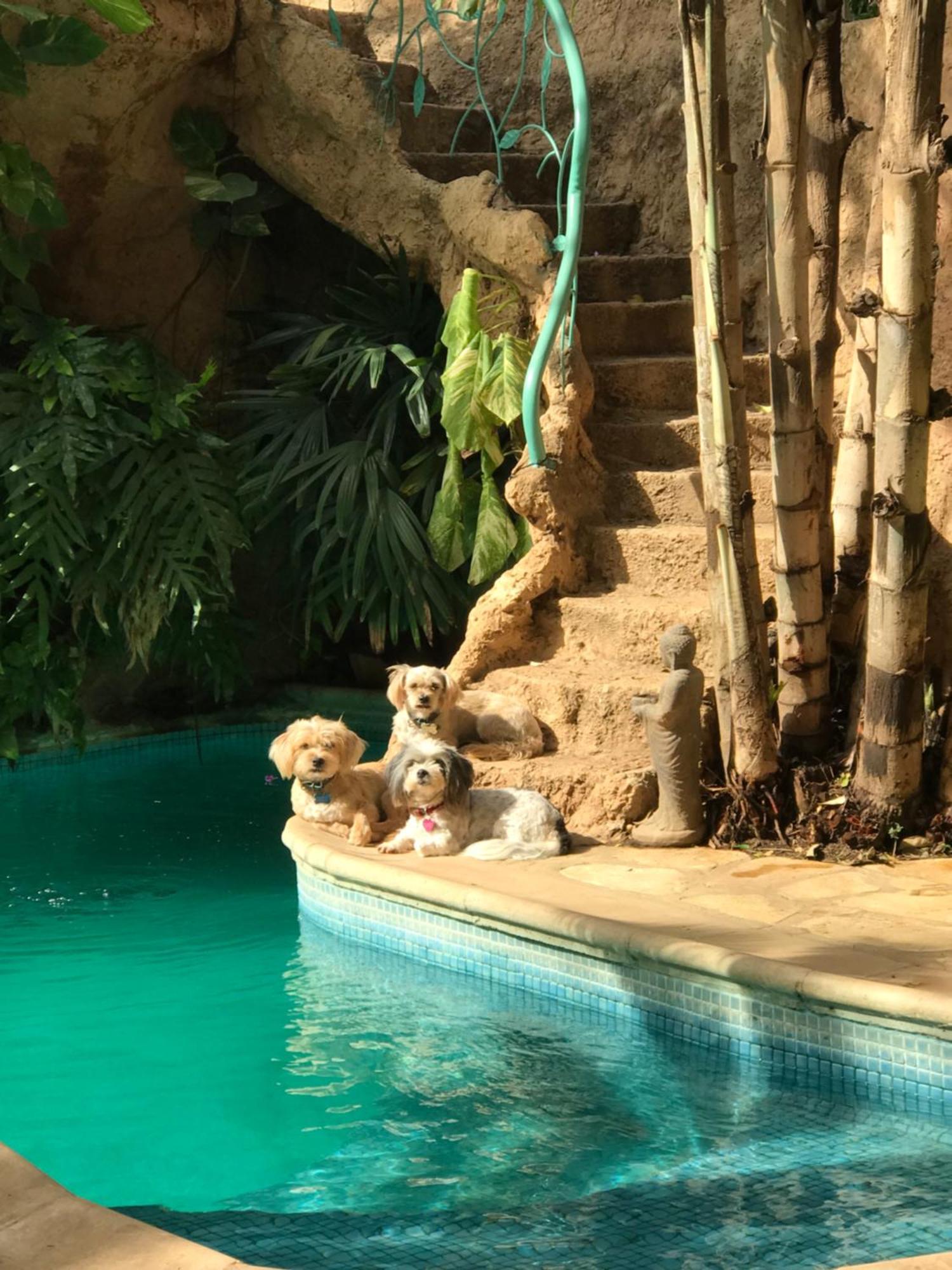 Appartement Tropical Oasis à Ouakam Extérieur photo